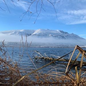 Meet your Posher, Jesse